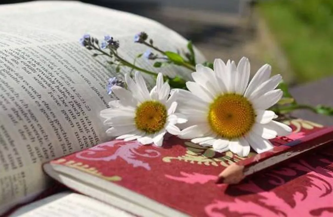 Foglie, fogli, sfogli